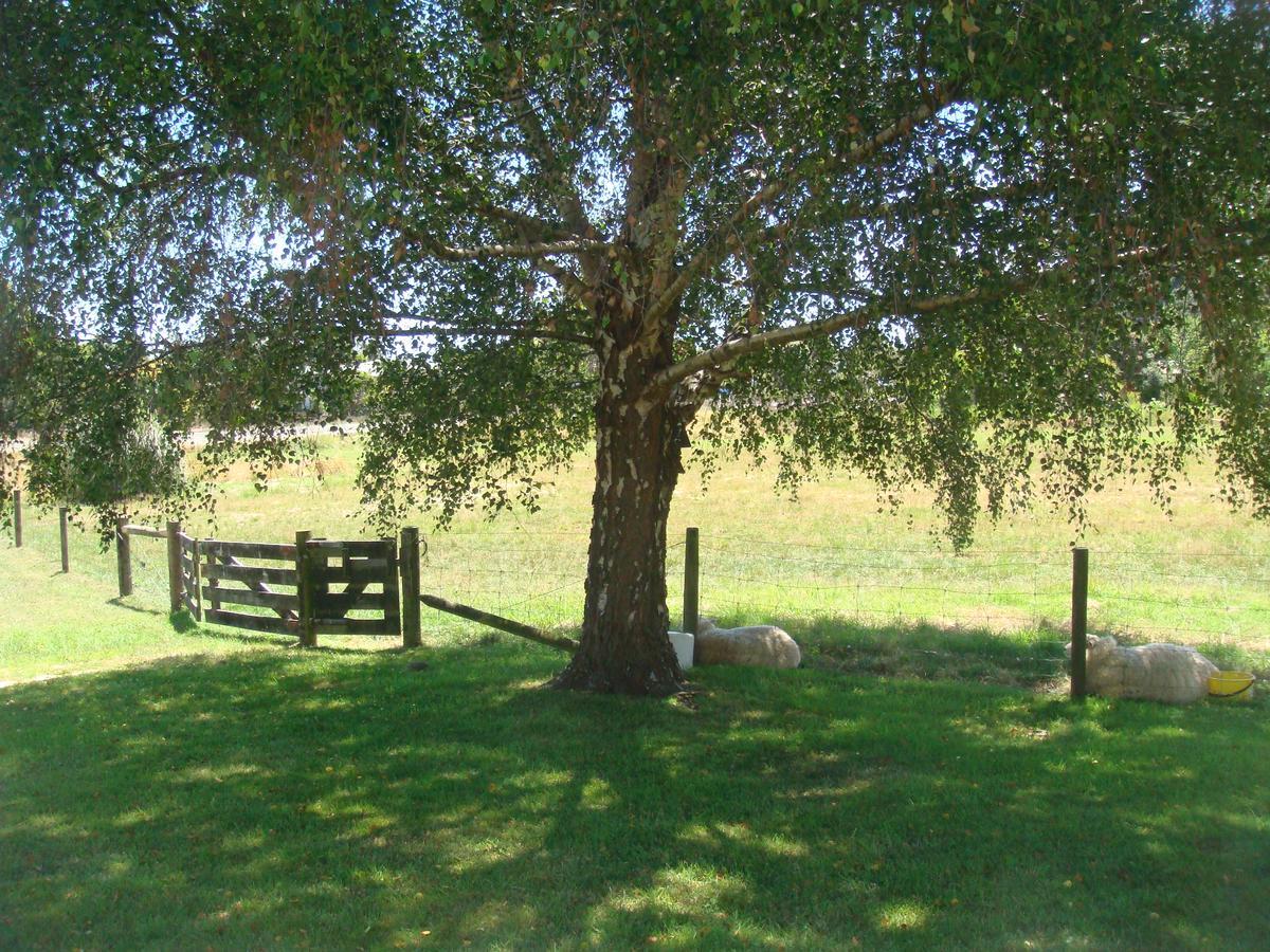 Woolshed Bed & Breakfast Takaka Exterior foto